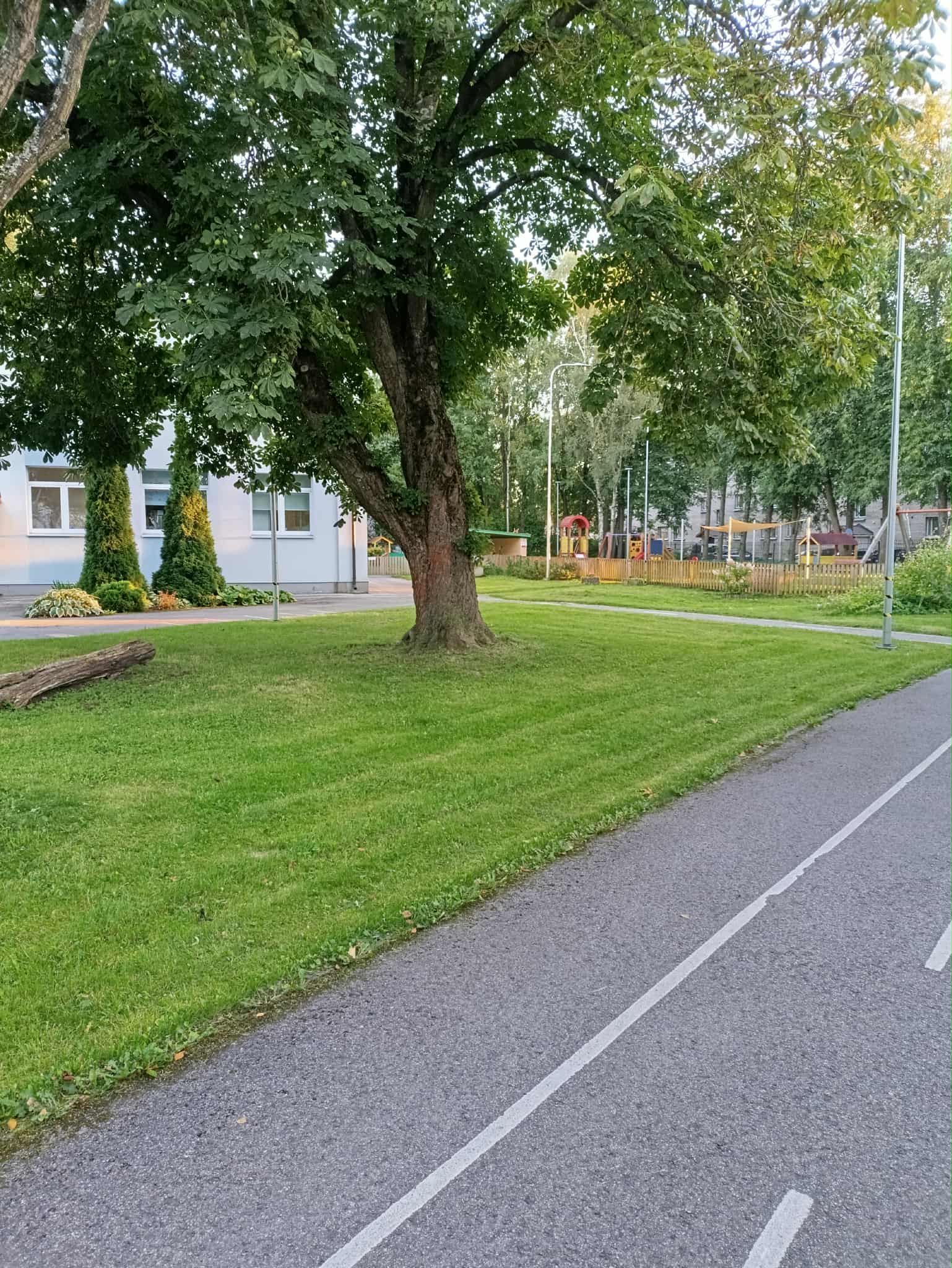 Territooriumi hooldus